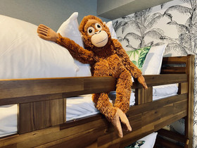 Hotel ffosaka.com