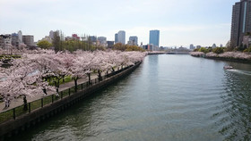 Hotel Noah Resort Sakura-No-Miya