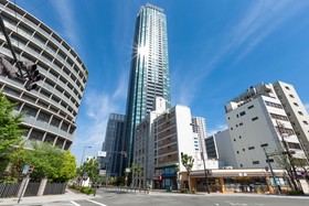 Ideal Fukushima