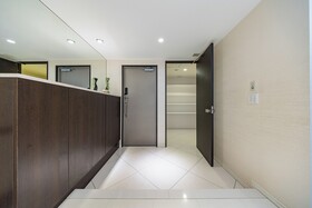 Japavista Xenith Premium