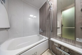 Japavista Xenith Premium