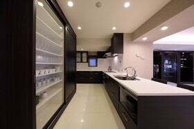 Japavista Xenith Premium