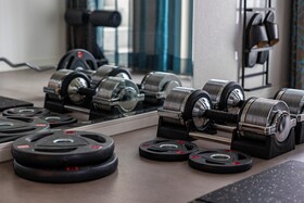 Japavista Xenith Premium