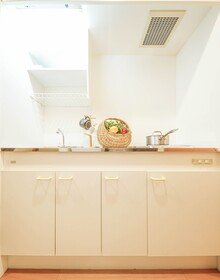 Lite House Shinsaibashi V