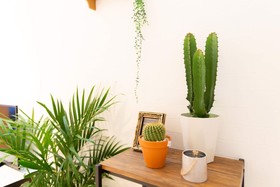 L-Style Hanazonocho Apartment A