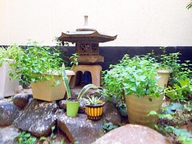 Nakayama Guesthouse