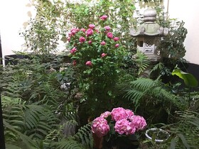 Nakayama Guesthouse