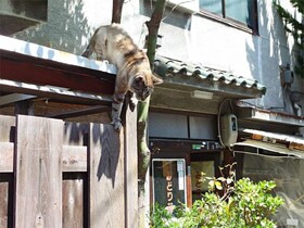 NAKAZ Machiya Osaka Umeda