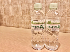 Namba Ebisu Hotel