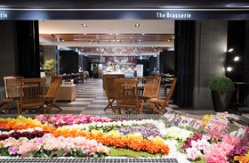 Nikko Kansai Airport