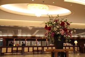 Nikko Kansai Airport