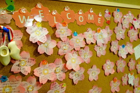 Osaka Guest House Sakura Hostel