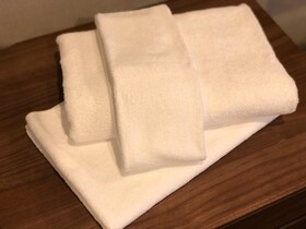 Osaka River Side Hotel