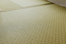 Osaka Sakurako Namba