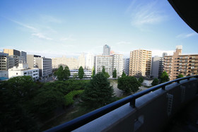 Precioso Umeda