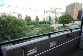 Precioso Umeda