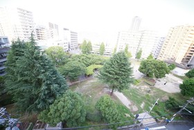 Precioso Umeda