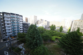 Precioso Umeda