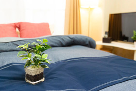 Rose Heights Higashimoto