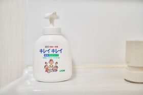 Sakuragawa No Midoribashi Japan Villa