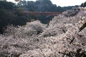 Shigisan Kanko Ryokan