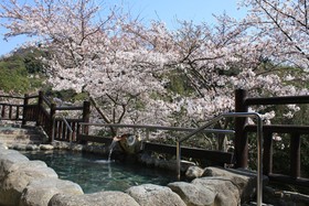 Shigisan Kanko Ryokan