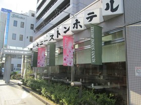 Shin Osaka Sunny Stone