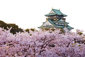 Sotetsu Fresa Inn Osaka Shinsaibashi