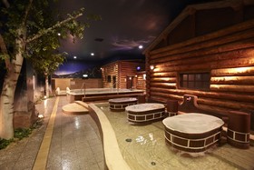 Spa World Onsen From Around The World Hotel