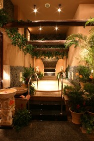 Spa World Onsen From Around The World Hotel