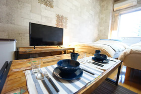 Terry's Apartment Namba South I