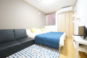 Terry's Apartment Namba South V