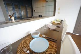 Terry's Apartment Shinsaibashi East I