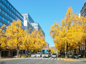Via Inn Shinsaibashi