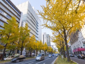 Via Inn Shinsaibashi