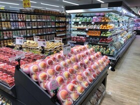 Via Inn Shinsaibashi Yotsubashi