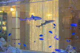 Hotel Atlantis Otsu