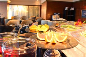 Hotel Agora Regency Sakai