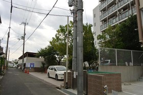 Noosa Japan