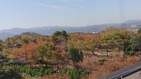 Kanponoyado Tondabayashi