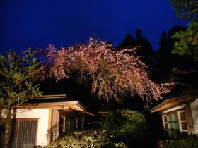 Koyasan Onsen Fukuchiin