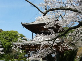 Wakayama Daiichi Fuji Hotel