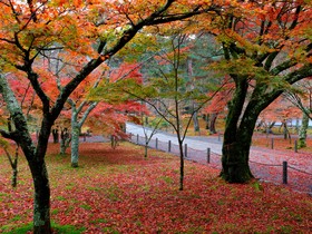 The Westin Miyako Kyoto