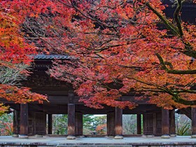The Westin Miyako Kyoto
