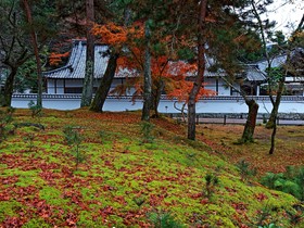 The Westin Miyako Kyoto
