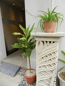 Hotel Sunset Terrace