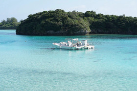 Blue Ocean Resort