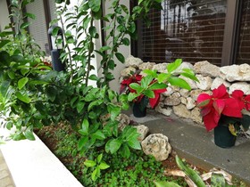 Hotel GranView Ishigaki