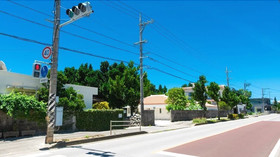 Nostalgy Garden
