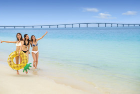 Stay Plumeria Arles Boulogne